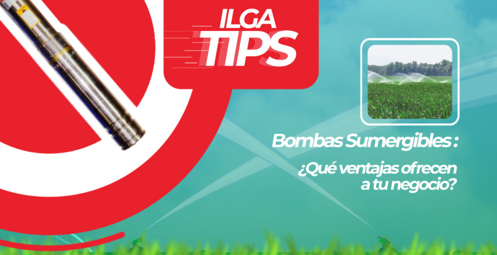 Bombas Sumergibles - Modelo: 6SR1808-11 - ILGA