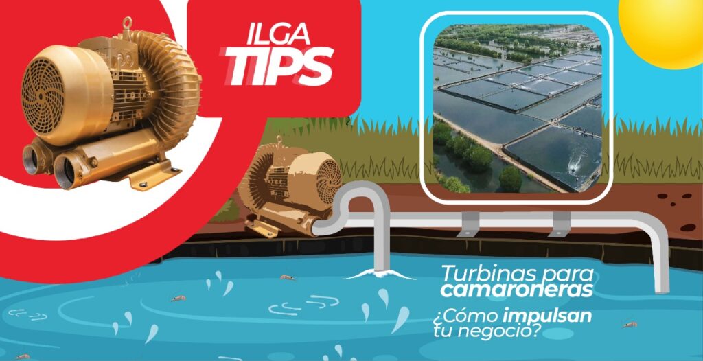 Turbinas para camaroneras WP