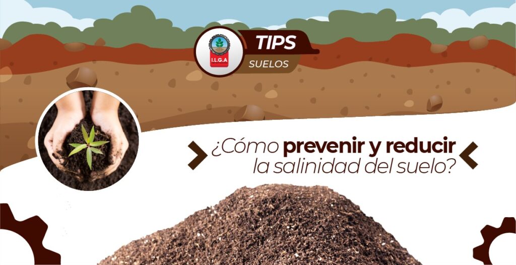 reducir la salinidad del suelo