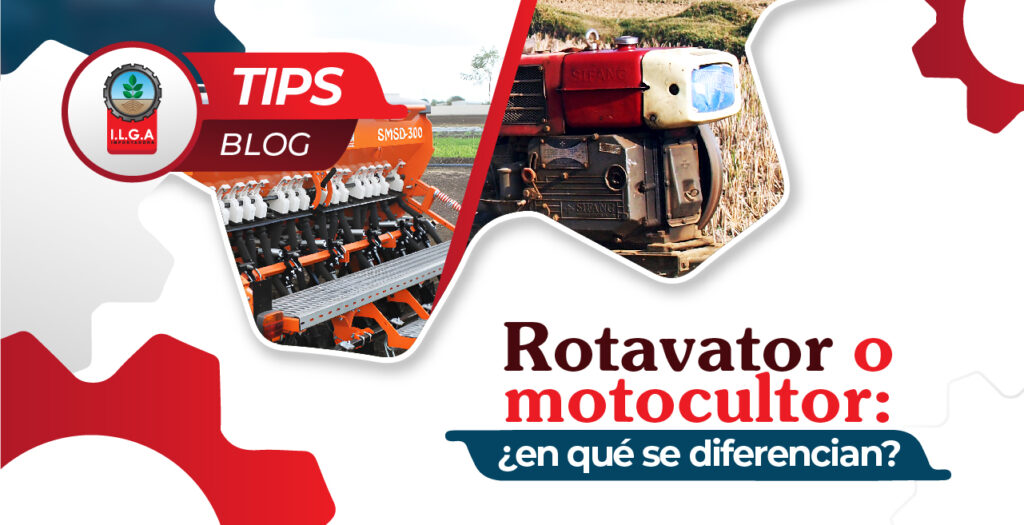 IGTP 02-03