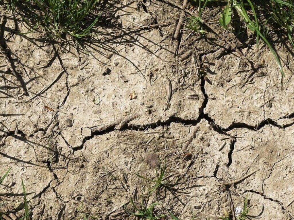 compactación del suelo y su impacto en la raiz