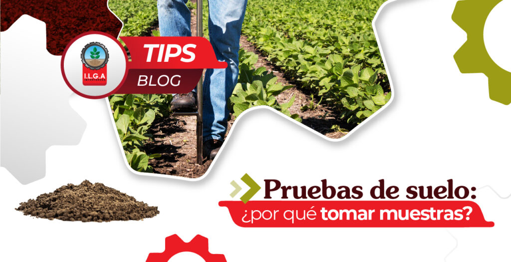 pruebas de suelo