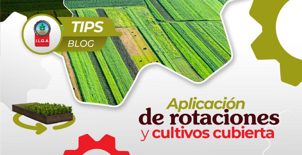 Aplicación de rotaciones y cultivos cubierta