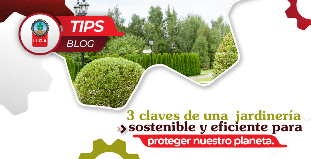 3 claves de una jardinería sostenible y eficiente para proteger nuestro planeta. 3 claves de una jardinería sostenible y eficiente para proteger nuestro planeta.