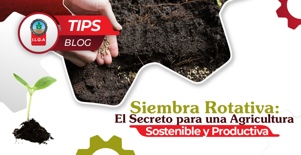 IGTP 03-03 (1)